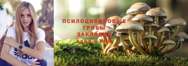 соль курить ск Лагань
