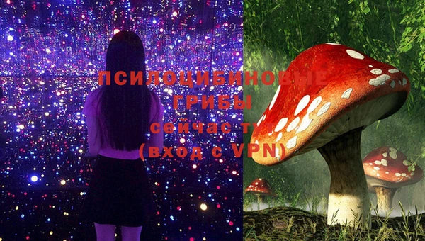 марки lsd Лабытнанги