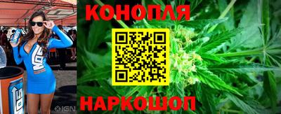 круглые Кингисепп