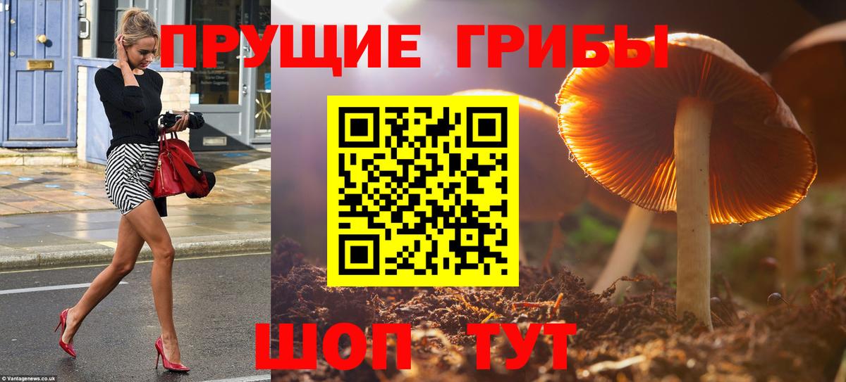 Галлюциногенные грибы прущие грибы  Вход с VPN  цены наркотик  Тольятти  Галлюциногенные грибы MAGIC MUSHROOMS 