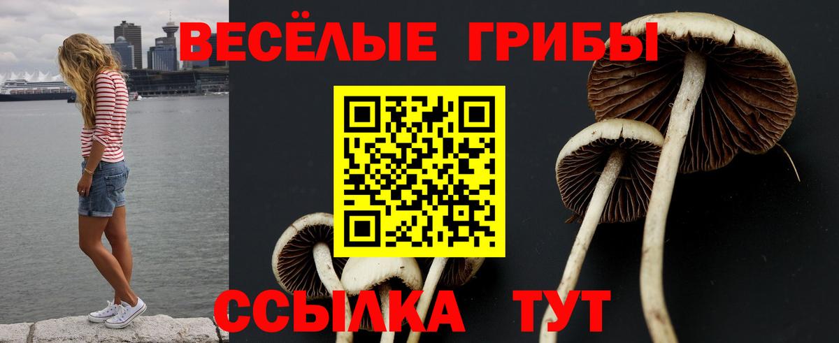 Галлюциногенные грибы Magic Shrooms Тольятти